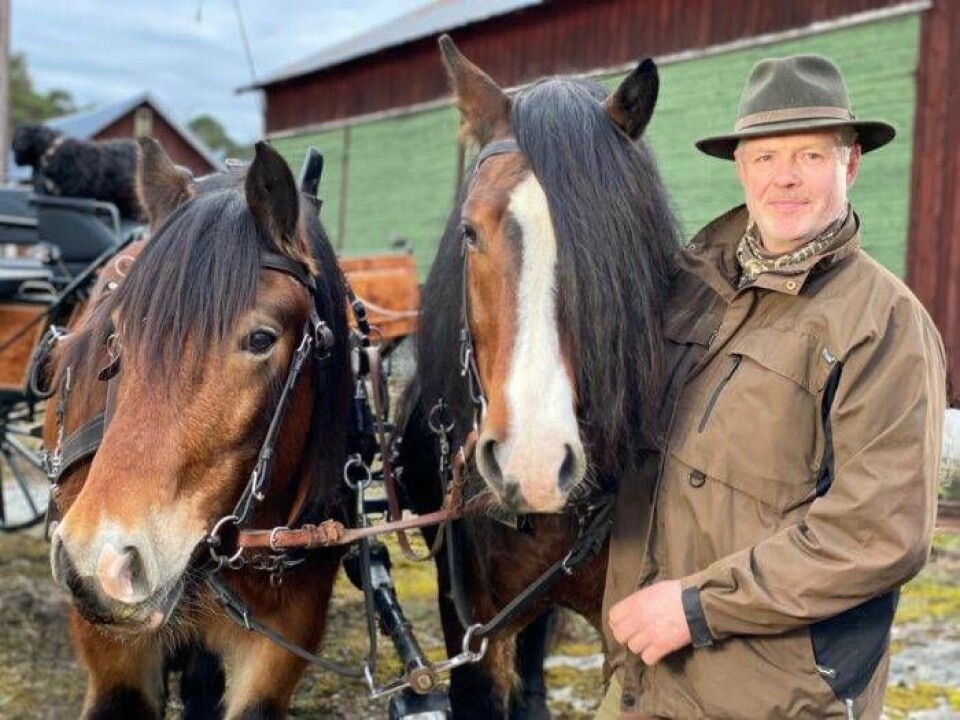 Bonde söker fru 2020 – här är alla deltagare