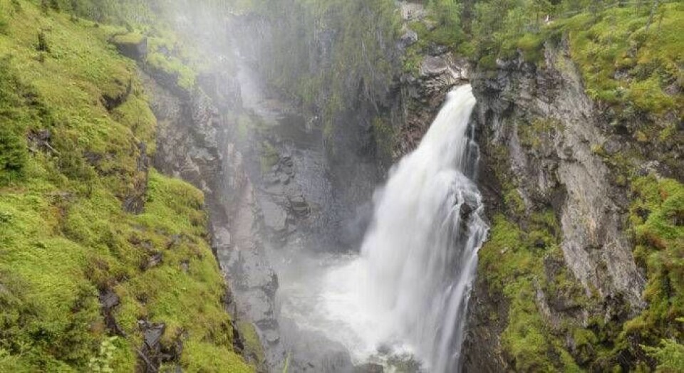 Foto: Länsstyrelsen i Jämtland Foto: Länsstyrelsen i Jämtland